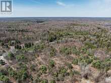 PART 2 BUCKSLIDE ROAD | Haliburton Ontario | Slide Image Eleven