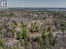 PART 2 BUCKSLIDE ROAD | Haliburton Ontario | Slide Image One