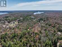 PART 2 BUCKSLIDE ROAD | Haliburton Ontario | Slide Image Twelve