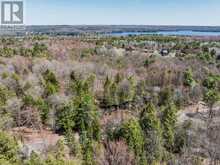 PART 2 BUCKSLIDE ROAD | Haliburton Ontario | Slide Image Three