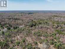PART 2 BUCKSLIDE ROAD | Haliburton Ontario | Slide Image Four