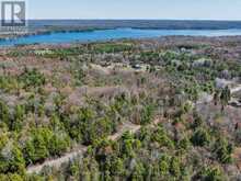 PART 2 BUCKSLIDE ROAD | Haliburton Ontario | Slide Image Seven