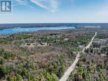 PART 2 BUCKSLIDE ROAD | Haliburton Ontario | Slide Image Five