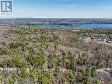 PART 2 BUCKSLIDE ROAD | Haliburton Ontario | Slide Image Six