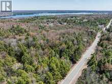 PART 2 BUCKSLIDE ROAD | Haliburton Ontario | Slide Image Eight