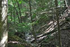 LOT 21 BAYSHORE ROAD | Meaford Ontario | Slide Image Twelve