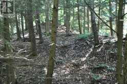 LOT 21 BAYSHORE ROAD | Meaford Ontario | Slide Image Thirteen