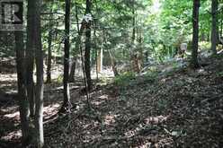 LOT 21 BAYSHORE ROAD | Meaford Ontario | Slide Image Fourteen