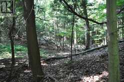 LOT 21 BAYSHORE ROAD | Meaford Ontario | Slide Image Sixteen