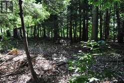 LOT 21 BAYSHORE ROAD | Meaford Ontario | Slide Image Seventeen