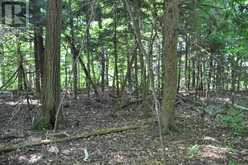 LOT 21 BAYSHORE ROAD | Meaford Ontario | Slide Image Eighteen