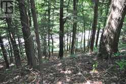 LOT 21 BAYSHORE ROAD | Meaford Ontario | Slide Image Nineteen