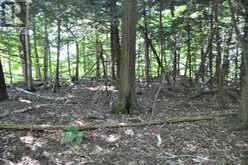 LOT 21 BAYSHORE ROAD | Meaford Ontario | Slide Image Four