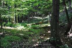 LOT 21 BAYSHORE ROAD | Meaford Ontario | Slide Image Five