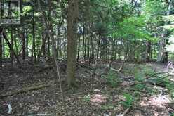 LOT 21 BAYSHORE ROAD | Meaford Ontario | Slide Image Six