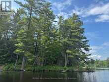 2 WOLF RIVER | Parry Sound Ontario | Slide Image Twenty-three