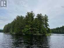 2 WOLF RIVER | Parry Sound Ontario | Slide Image Six