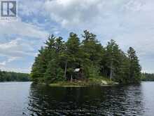 2 WOLF RIVER | Parry Sound Ontario | Slide Image One