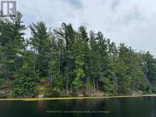 2 WOLF RIVER | Parry Sound Ontario | Slide Image Five