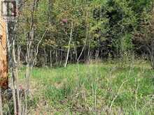 000 FOURWHEEL DRIVE | Gravenhurst Ontario | Slide Image Two