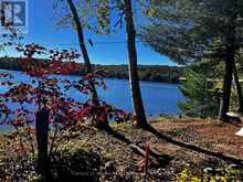 1141 KANAWA LANE | Haliburton Ontario | Slide Image Nineteen