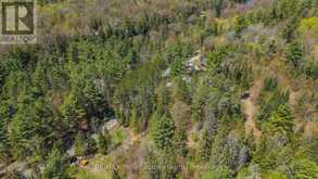 75 BALSAM CHUTES ROAD | Huntsville Ontario | Slide Image Five