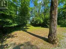 167 MAPLE LANE E | Manitoulin Island Ontario | Slide Image Seven