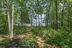 4 IS 2075 ARTHUR ISLAND, GEORGIAN BAY | Honey Harbour Ontario | Slide Image Forty-one