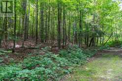 838151 4TH LINE E | Mulmur Ontario | Slide Image Sixteen