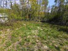 359 TOWN LINE ROAD W | Huntsville Ontario | Slide Image Thirteen