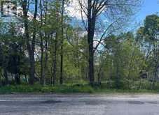 359 TOWN LINE ROAD W | Huntsville Ontario | Slide Image Two