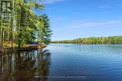 4280 GO HOME LAKE SHORE | MacTier Ontario | Slide Image Thirty-eight
