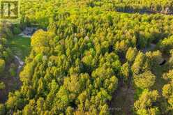 LOT #8 - 38 GRYFFIN BLUFFS LANE | Huntsville Ontario | Slide Image Fifteen