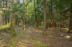 LOT #8 - 38 GRYFFIN BLUFFS LANE | Huntsville Ontario | Slide Image Three