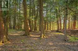 LOT #8 - 38 GRYFFIN BLUFFS LANE | Huntsville Ontario | Slide Image Four