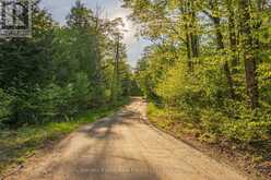 LOT #8 - 38 GRYFFIN BLUFFS LANE | Huntsville Ontario | Slide Image Five