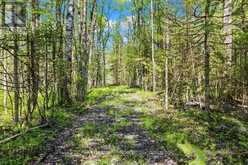 PT LT 1-2 CONCESSION ROAD 3 | Owen Sound Ontario | Slide Image Seven