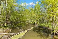 PT LT 1-2 CONCESSION ROAD 3 | Owen Sound Ontario | Slide Image Eight