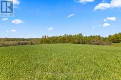 W PT LT 15 SIDEROAD 16B | Markdale Ontario | Slide Image Ten
