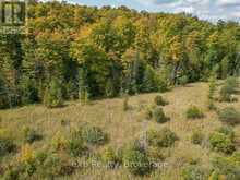 PT LT 15 BASELINE ROAD | Markdale Ontario | Slide Image Nine