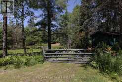 2322 OLD MUSKOKA ROAD | Huntsville Ontario | Slide Image Forty-seven
