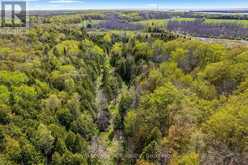 N/A SUTTER Road W | Lion's Head Ontario | Slide Image Thirty-one