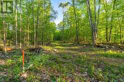 PART LOT 20 CONCESSION ROAD 14 CONCESSION | Shallow Lake Ontario | Slide Image Seventeen