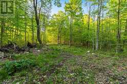 PART LOT 20 CONCESSION ROAD 14 CONCESSION | Shallow Lake Ontario | Slide Image Nineteen