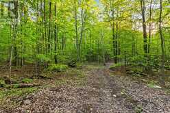 PART LOT 20 CONCESSION ROAD 14 CONCESSION | Shallow Lake Ontario | Slide Image Twenty