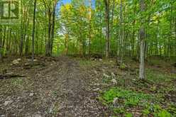 PART LOT 20 CONCESSION ROAD 14 CONCESSION | Shallow Lake Ontario | Slide Image Twenty-one