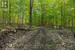 PART LOT 20 CONCESSION ROAD 14 CONCESSION | Shallow Lake Ontario | Slide Image Four