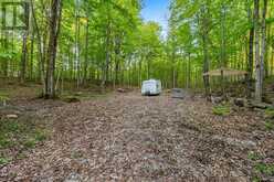 PART LOT 20 CONCESSION ROAD 14 CONCESSION | Shallow Lake Ontario | Slide Image Five