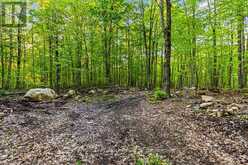 PART LOT 20 CONCESSION ROAD 14 CONCESSION | Shallow Lake Ontario | Slide Image Nine