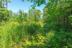 600380 SIDEROAD 50 N | Chatsworth Ontario | Slide Image Forty-eight
